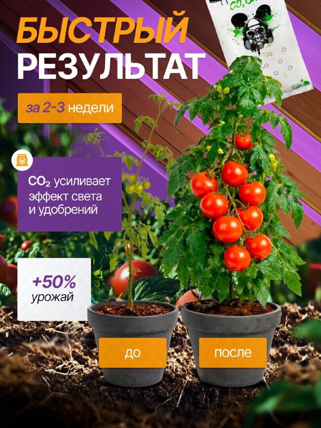 Генератор углекислого газа для растений пакет Co2 Bag Orange Tree 100г.