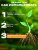 Гель укоренитель для клонирования DR.ROOT 50мл. Orange Tree