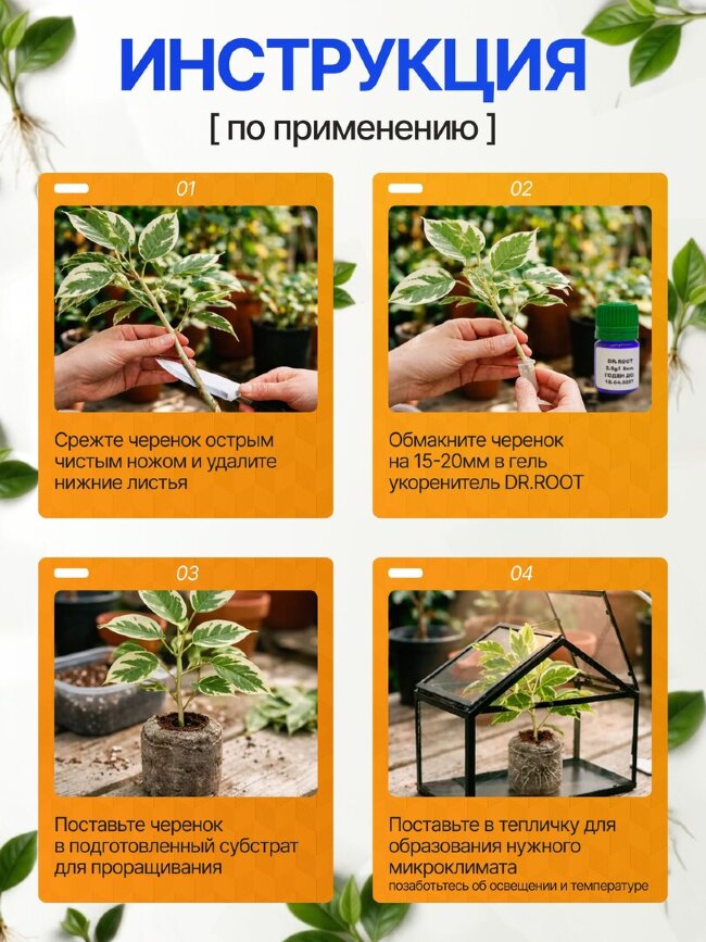 Гель укоренитель для клонирования DR.ROOT 50мл. Orange Tree