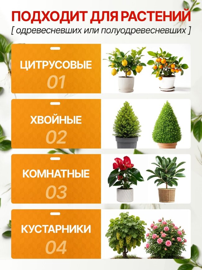 Гель укоренитель для клонирования DR.ROOT 50мл. Orange Tree